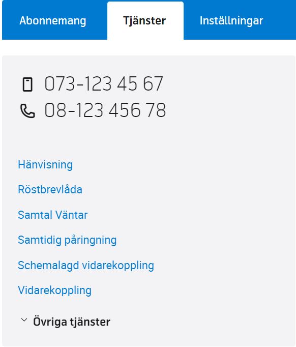 Tjänster Mitt Företag.jpg