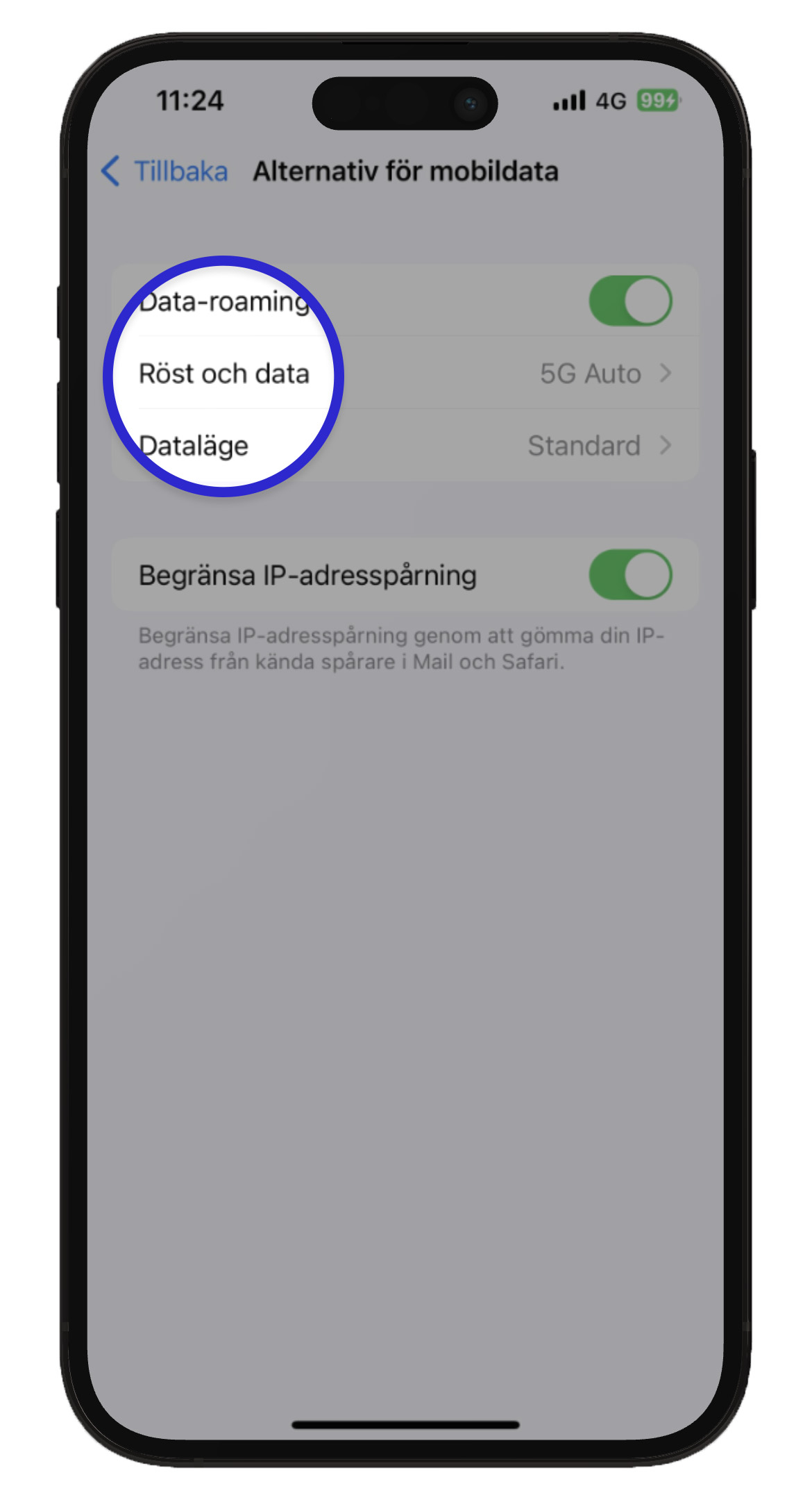 ios-aktivera-5g-1.jpg