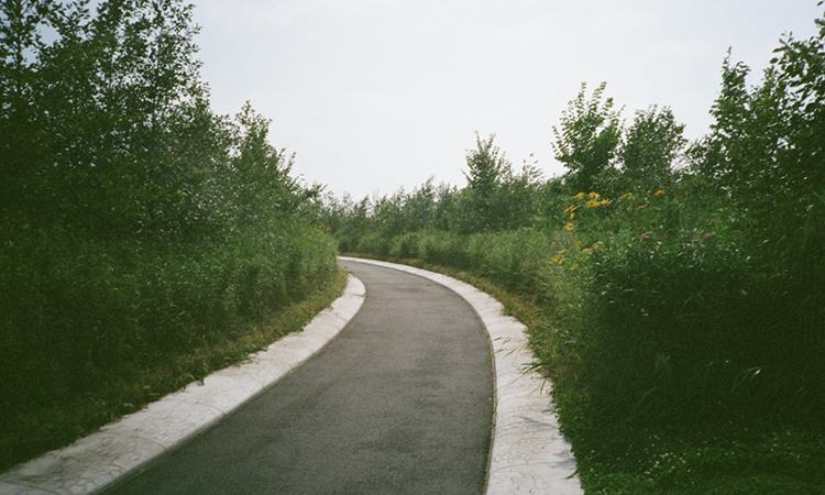 Väg
