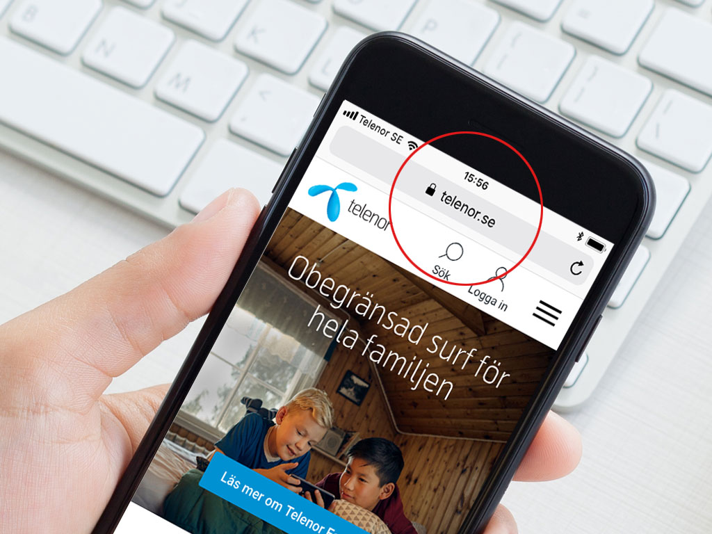 Telenor_1024x768_security.jpg