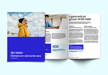 Guide_SD-WAN_Telenor_360x250.png