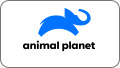 Animal Planet